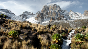 Mount Kenya